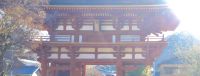 ３月　岡崎市　滝山寺　三門